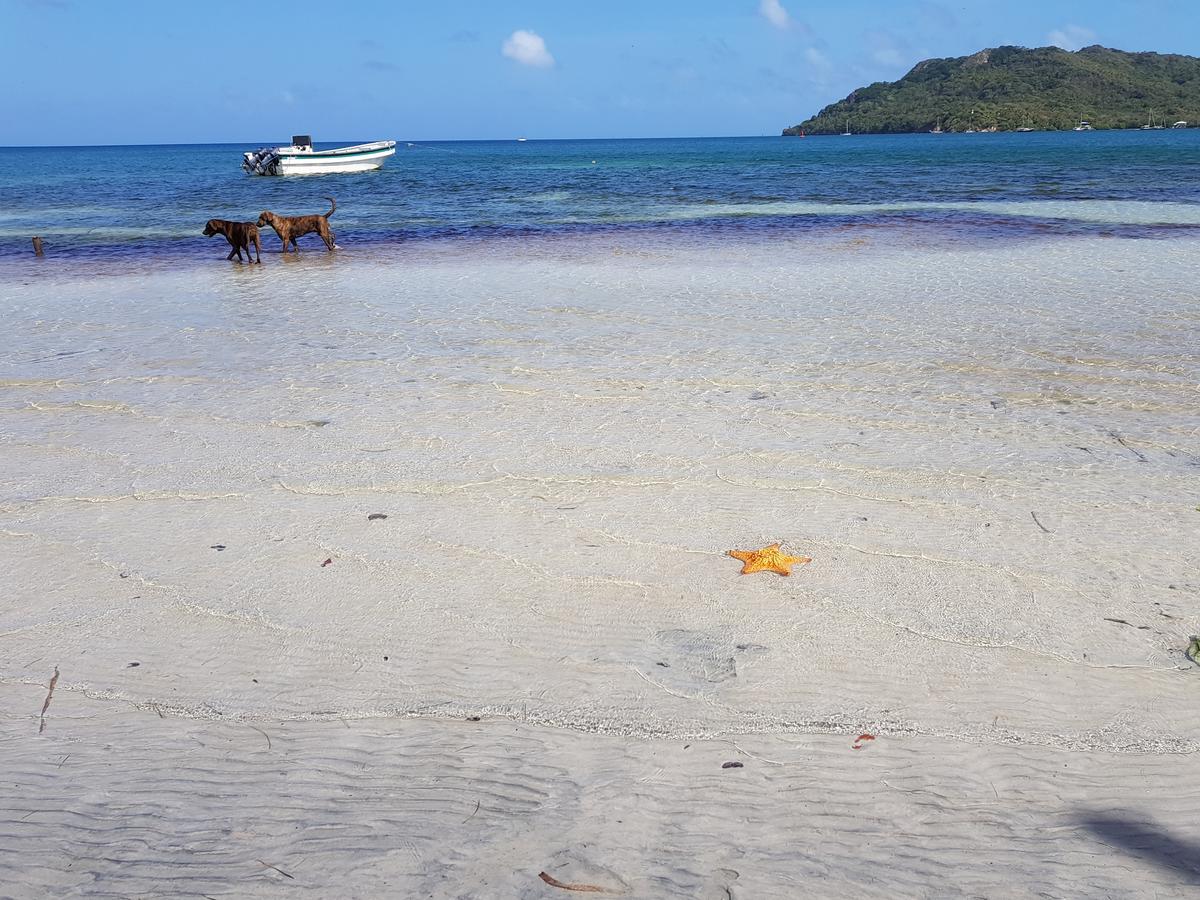 Posada Old Town Bay Providencia  Экстерьер фото
